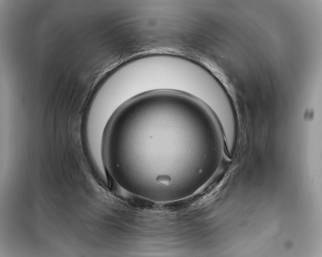 X0000099500201200805291135