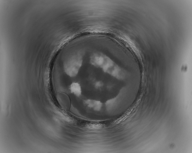 X0000099500202200805291135