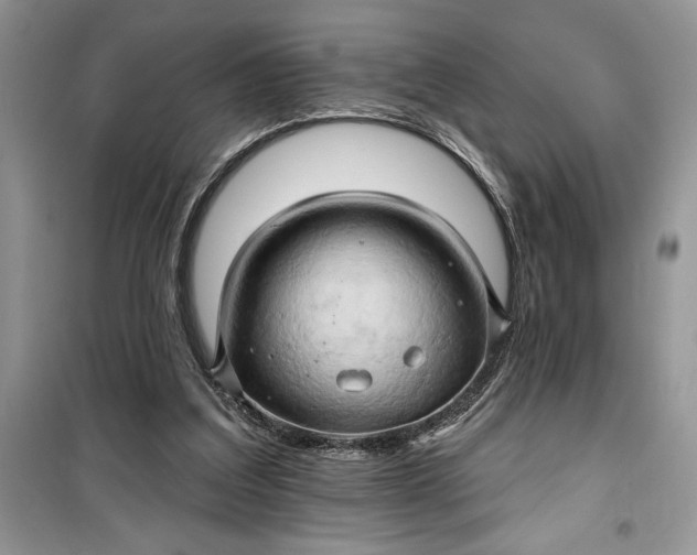 X0000099500203200805291135