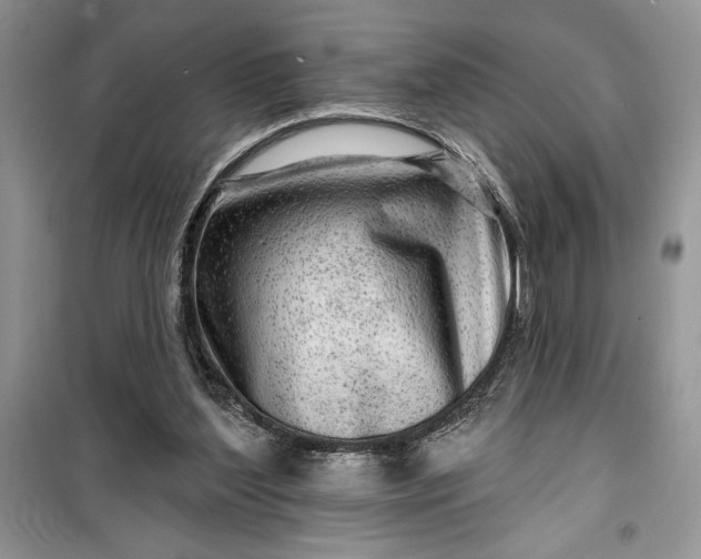 X0000099500204200805291135