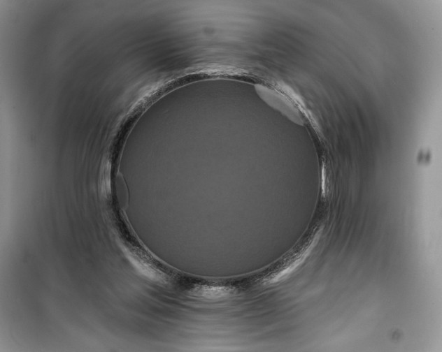 X0000099500205200805291135