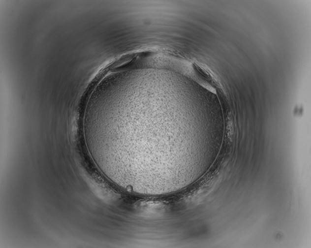 X0000099500208200805291135