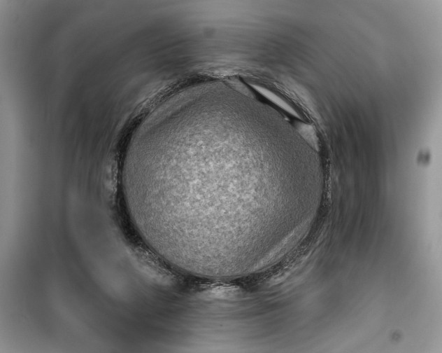 X0000099500210200805291135