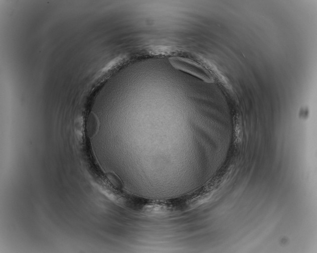 X0000099500211200805291135