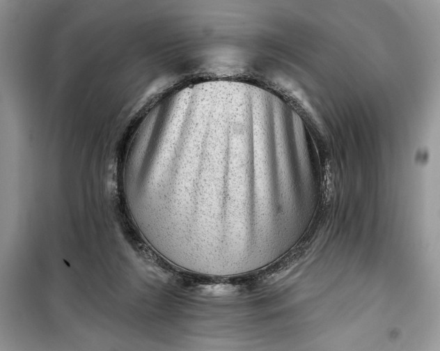 X0000099500212200805291135