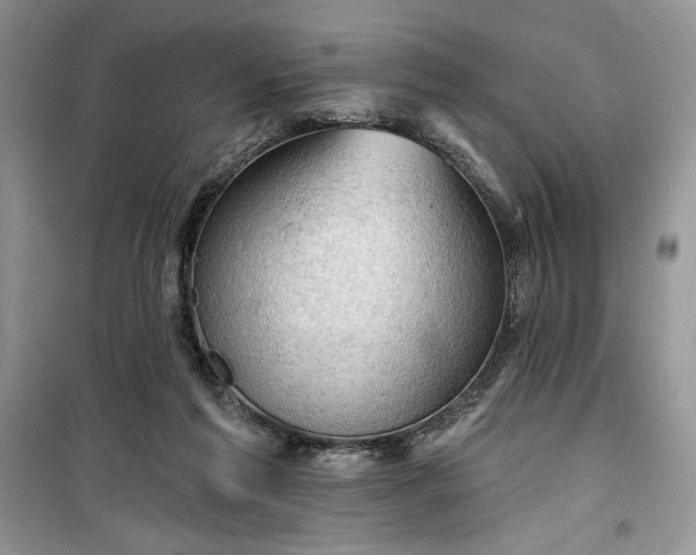 X0000099500213200805291135