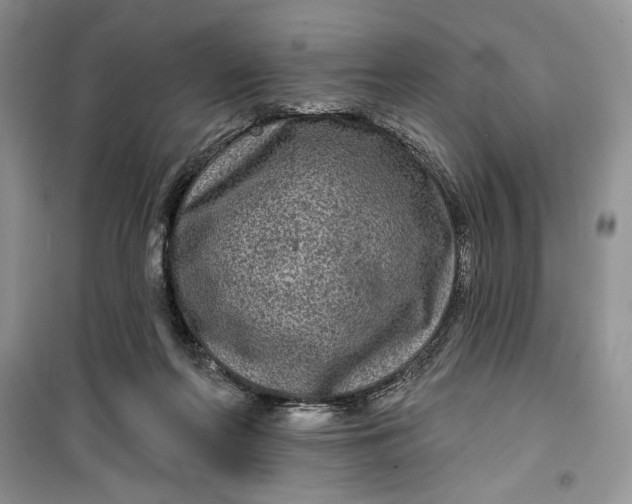 X0000099500214200805291135