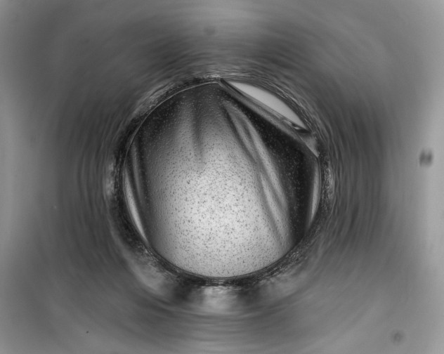 X0000099500216200805291135