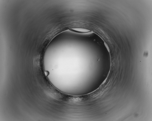 X0000099500217200805291135