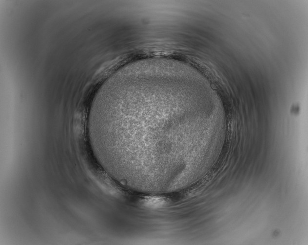 X0000099500218200805291135