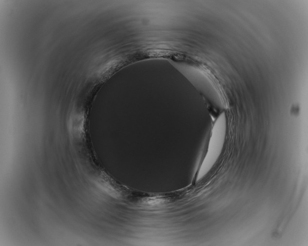 X0000099500219200805291135