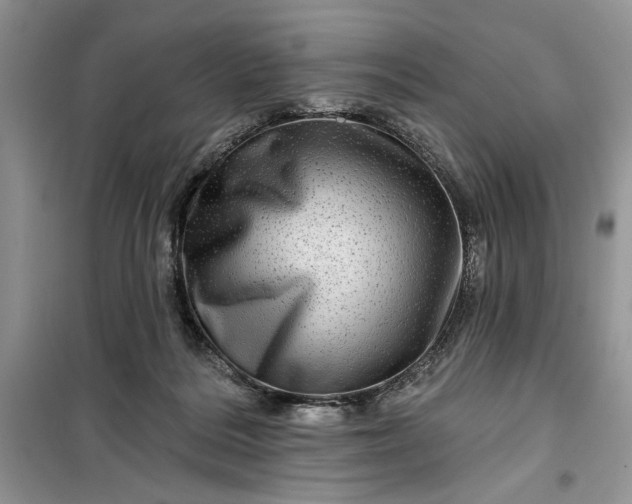 X0000099500220200805291135