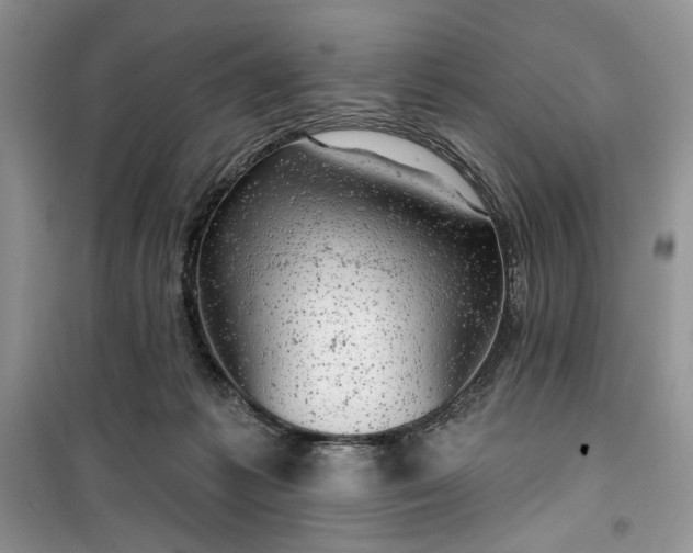 X0000099500221200805291135