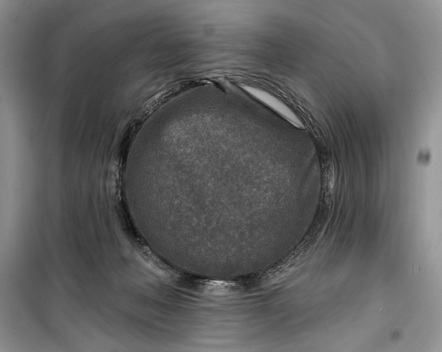 X0000099500222200805291135