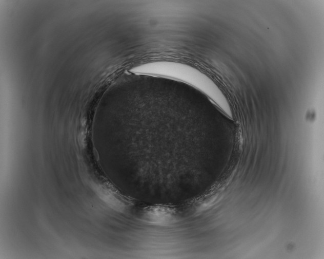 X0000099500223200805291135