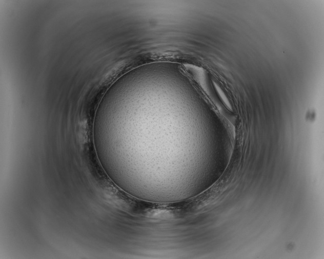 X0000099500224200805291135