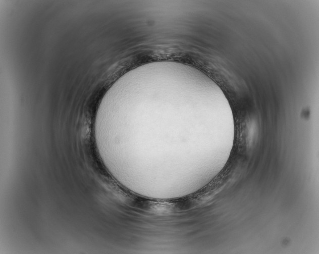 X0000099500226200805291135