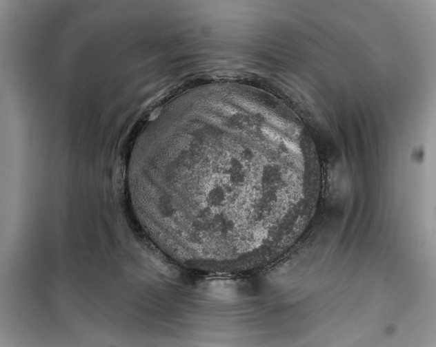 X0000099500228200805291135