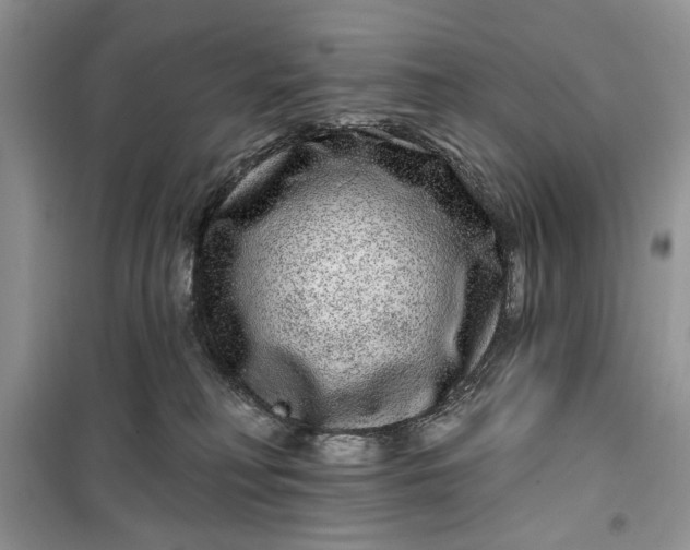 X0000099500230200805291135