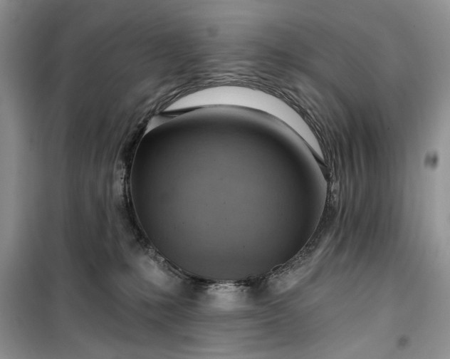 X0000099500231200805291135