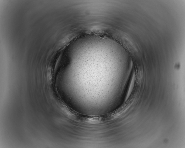 X0000099500232200805291135