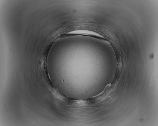 X0000099500233200805291135