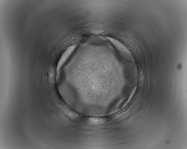 X0000099500234200805291135