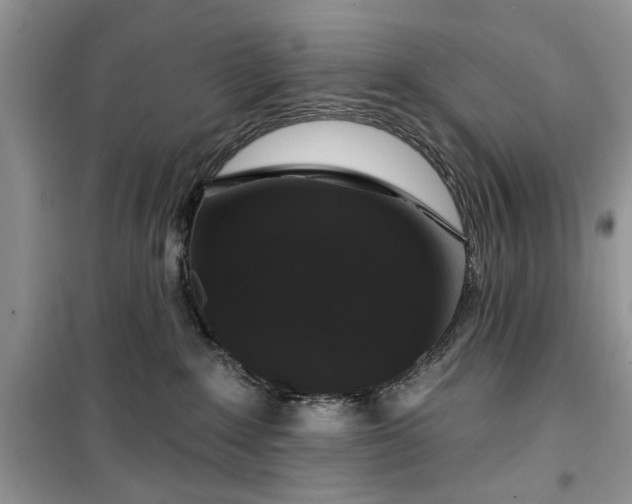 X0000099500235200805291135