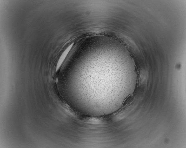 X0000099500236200805291135