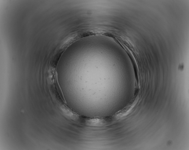 X0000099500237200805291135