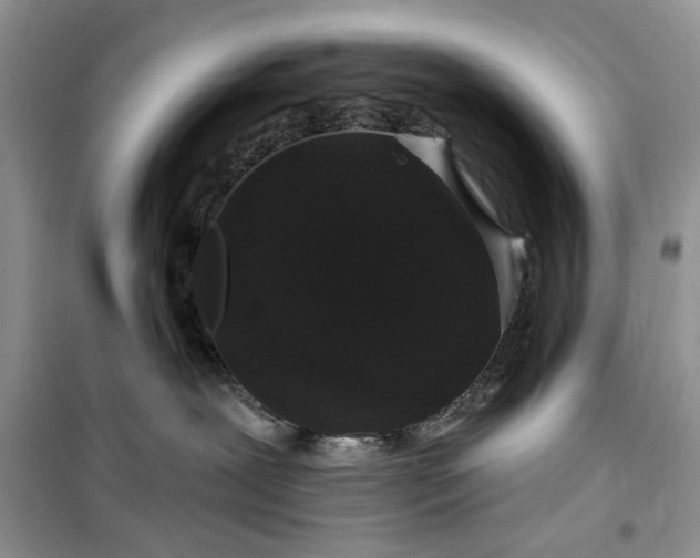 X0000099500239200805291135