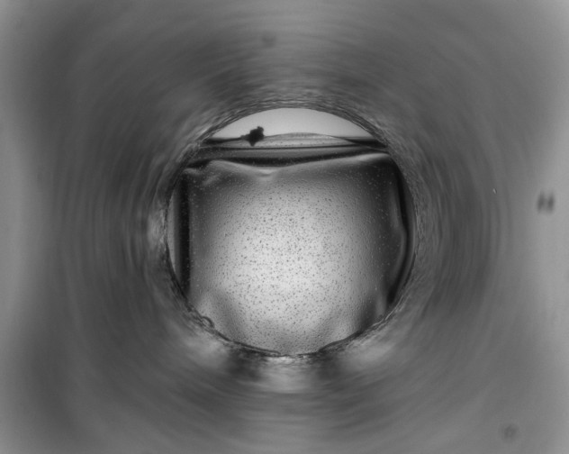 X0000099500240200805291135