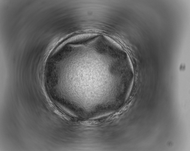 X0000099500241200805291134