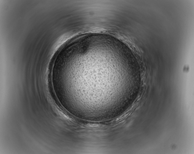 X0000099500242200805291134