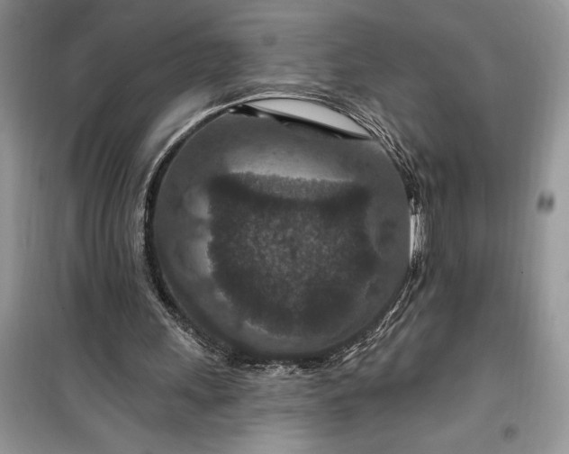 X0000099500243200805291134