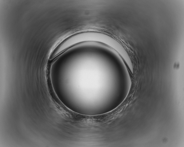 X0000099500244200805291134