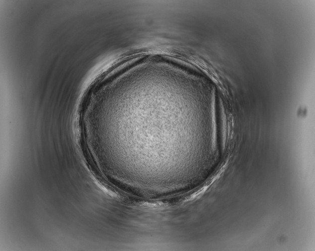 X0000099500245200805291134