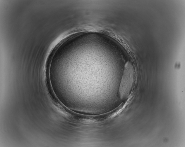 X0000099500246200805291134