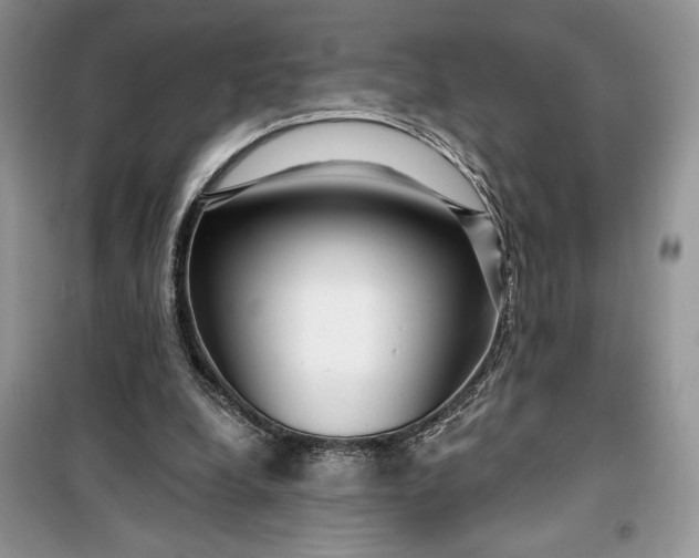 X0000099500248200805291134