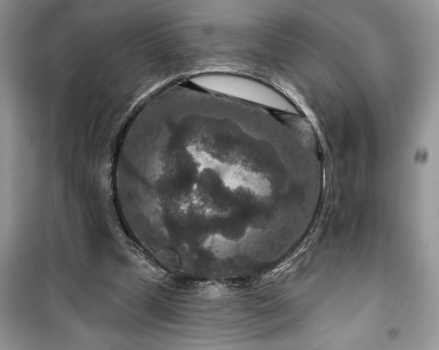 X0000099500249200805291134