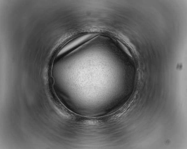 X0000099500250200805291134