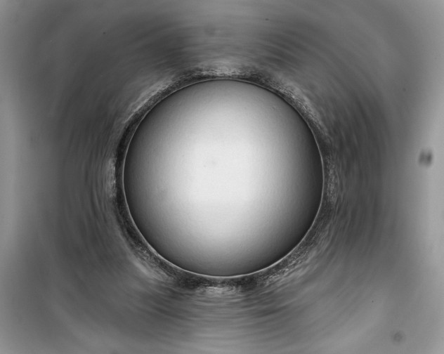 X0000099500251200805291134