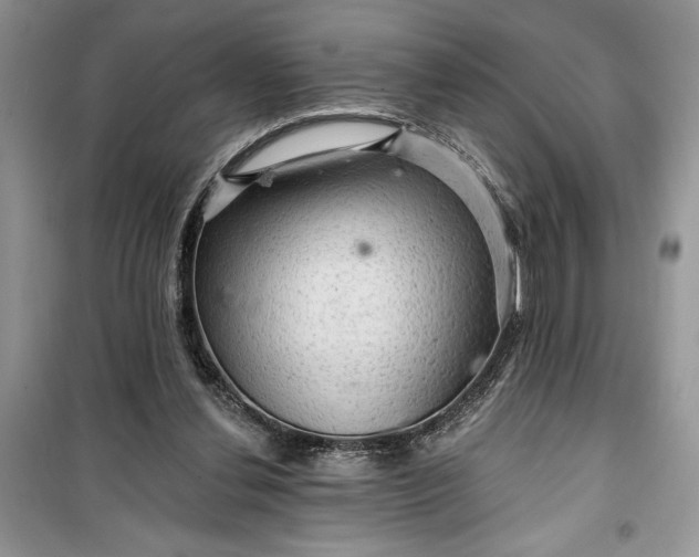 X0000099500252200805291134