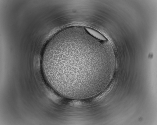 X0000099500253200805291134