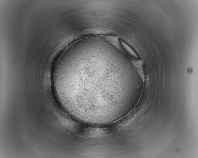 X0000099500254200805291134