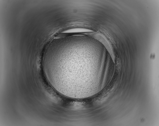 X0000099500255200805291134