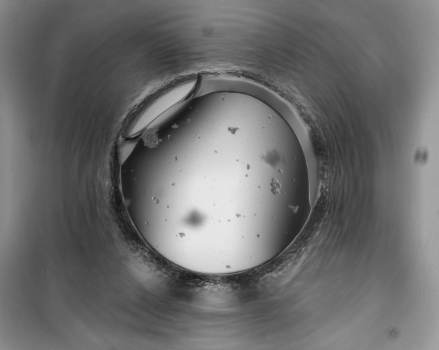 X0000099500256200805291134