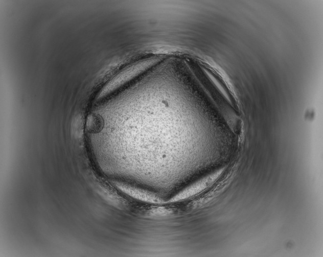 X0000099500257200805291134