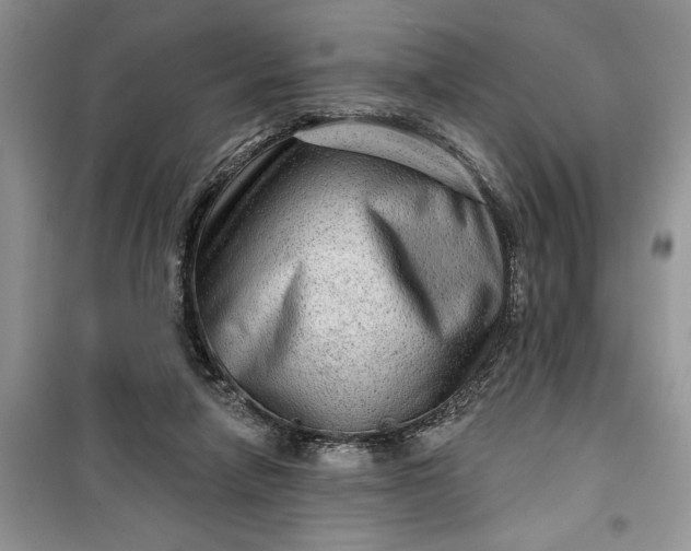 X0000099500258200805291134