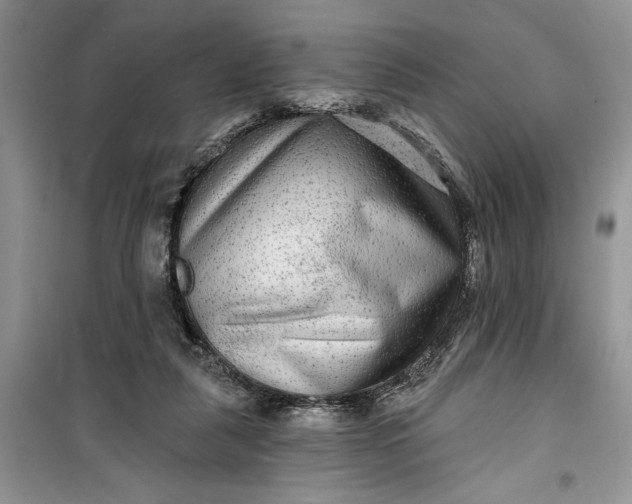 X0000099500259200805291134